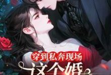 穿到私奔现场，这个婚离不了一点黎夏顾卫城小说在线章节免费阅读-美妙文学