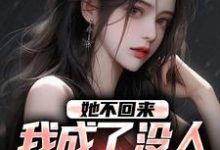 她不回来,我成了没人敢惹的混混叶轻池裴小说免费阅读-美妙文学