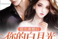 哪里可以免费找到提出离婚后，你的白月光怎么不香了？-美妙文学