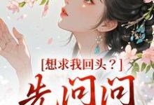 哪里能找到想求我回头？先问问君上吧小说的最新更新和免费章节？-美妙文学