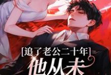 追了老公二十年，他从未认真对待我小说完结版章节免费阅读-美妙文学