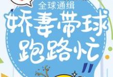 全球通缉：娇妻带球跑路忙免费阅读，全球通缉：娇妻带球跑路忙章节目录-美妙文学