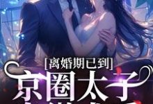 离婚期已到!京圈太子卑微求爱这本小说怎么样?免费在线阅读试试-美妙文学