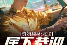 已完结小说《赘婿翻身：龙主，属下恭迎您归位》章节在线阅读-美妙文学