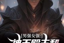 男强女强：神王殿主和女特工闪婚了小说无弹窗阅读的网站推荐-美妙文学