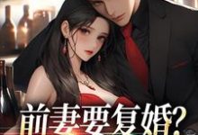 前妻要复婚？我让她跪着滚小说无弹窗阅读的网站推荐-美妙文学