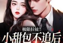 已完结小说《极限拉扯!小甜包不追后男神他慌了》在线章节阅读-美妙文学