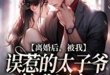 小说《离婚后，被我误惹的太子爷接我回家》章节免费阅读-美妙文学