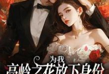 为我，高岭之花放下身份为爱发疯小说完结版章节免费阅读-美妙文学