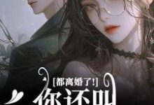 都离婚了！你还叫我夫人干嘛小说有没有完结版在线？-美妙文学