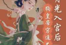 宫斗？这皇帝根本不让我玩小说阅读，宫斗？这皇帝根本不让我玩完结版-美妙文学