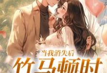 云糯白皎皎小说当我消失后，竹马顿时衰神附体在线阅读章节-美妙文学