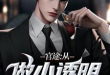 已完结小说《官途：从做小透明开始》章节在线阅读-美妙文学