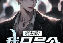 已完结小说《别太爱！我只是个穷小子》章节免费阅读-美妙文学