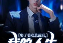 已完结小说《娶了美女总裁后，我的人生开挂了》章节免费阅读-美妙文学