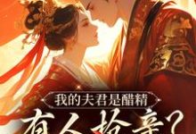 我的夫君是醋精，有人抢亲？直接杀小说，我的夫君是醋精，有人抢亲？直接杀最新章节-美妙文学