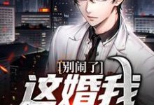 别闹了，这婚我离定了章节免费在线阅读，李亦翔潘盼楠完结版-美妙文学