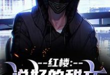 红楼：说好的甜文咋变恐怖文了齐洛在线免费阅读-美妙文学