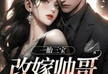 一胎三宝，改嫁帅哥就是宠！林清月姚红艳在线免费阅读-美妙文学