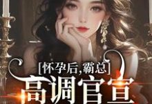 怀孕后，霸总高调官宣，渣男悔断肠沈悦檀砚时，怀孕后，霸总高调官宣，渣男悔断肠最新章节-美妙文学