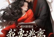 主角姜晚陆知珩小说无删减版在线阅读，重回新婚夜，我要逃离美强惨权臣！免费看-美妙文学