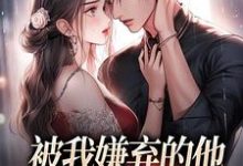 主角白夕颜权枭景小说无删减版在线阅读，被我嫌弃的他，竟成了我的港湾免费看-美妙文学