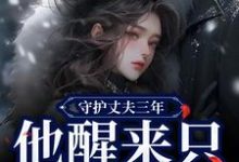 小说《守护丈夫三年，他醒来只要白月光》免费阅读-美妙文学