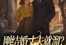 丁遥香陆舰小说《刚结婚丈夫就溜?姐真不吃人!》在线阅读-美妙文学