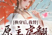 换穿后，我替原主虐翻极品亲戚小说，换穿后，我替原主虐翻极品亲戚秦思语宋景之无弹窗在线阅读-美妙文学