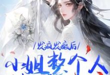 沈昭宁宋文轩小说叫什么（发疯发癫后，小姐整个人都美好了免费阅读）-美妙文学