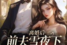 主角纪云州沈弦月小说无删减版在线阅读，离婚后，前夫雪夜下跪求回头免费看-美妙文学