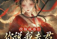 改嫁成寡妇，你说我夫君又复活了？宋芜在线免费阅读-美妙文学