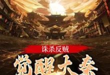 主角嬴启小说诛杀反贼，觉醒大秦千年气运免费阅读-美妙文学