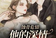 小说《蚀骨危情:他的深情她不懂》免费阅读-美妙文学