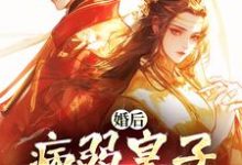 婚后，病弱皇子把我宠上天云婳司珩在线免费阅读-美妙文学