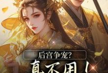 后宫争宠？真不用！我撒个娇的事温梨儿晏时叙小说免费阅读-美妙文学