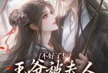 求叶流西穆景川小说免费资源-美妙文学