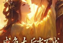 求凌锦意萧景城小说免费资源-美妙文学