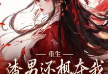 已完结小说《重生：渣男还想夺我儿女？没门》最新章节-美妙文学