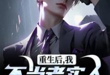 重生后，我不当老实人当浪子！秦守，重生后，我不当老实人当浪子！在线阅读-美妙文学