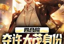 小说《四合院：夺许大茂身份，我成大好人》在线阅读-美妙文学