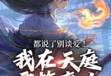 都说了别谈爱！我在天庭要搞事业小说在线无弹窗免费阅读-美妙文学
