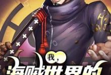 主人公亚白小说我,海贼世界的不死大将在线阅读-美妙文学