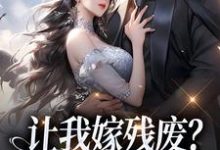 让我嫁残废？你快来替我虐！林晚林肃，让我嫁残废？你快来替我虐！小说免费阅读-美妙文学