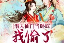 主角宋时卿谢寂玉小说无删减版在线阅读，潜入仙门当卧底，我偷了谪仙的心免费看-美妙文学