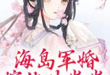 小说《海岛军婚:嫁他生崽崽》免费阅读-美妙文学