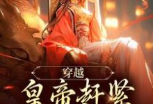 如意康熙小说在线免费阅读（穿越：皇帝赶紧给我打江山无弹窗无删减）-美妙文学