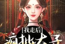 无删减版《我走后，疯批太子彻底癫了》全章节阅读-美妙文学