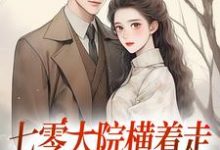 已完结小说《七零大院横着走，我是老公心尖宠》免费阅读-美妙文学