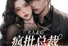 主人公叫顾焕之苏妍的小说夫人走后，疯批总裁寻遍全世界在线阅读-美妙文学